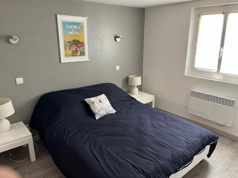 Bas De 70m2 Independant Avec Espace Jacuzzi Prive Apartment Le Lavandou